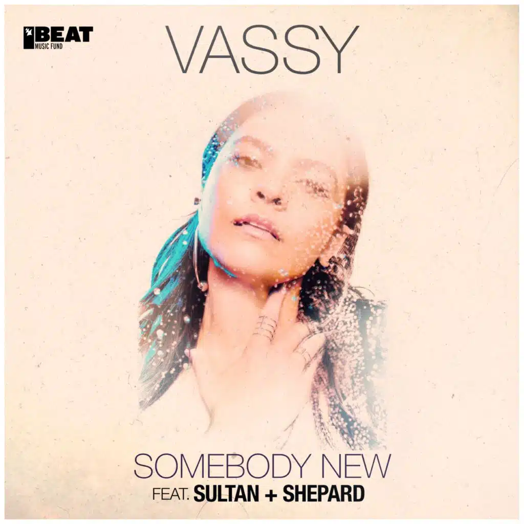 Somebody New (Sebastian Davidson Remix) [feat. Sultan + Shepard]