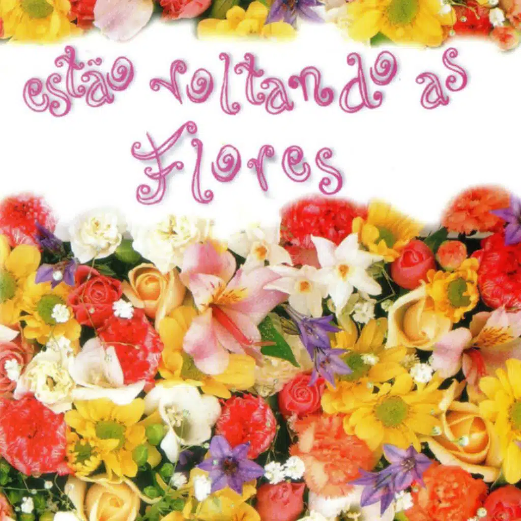 Estão Voltando as Flores