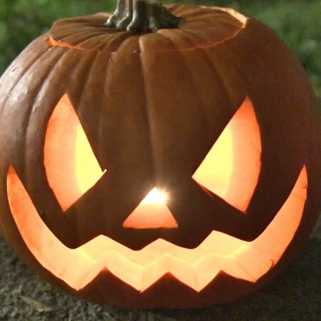 Fredag 31 oktober 2025