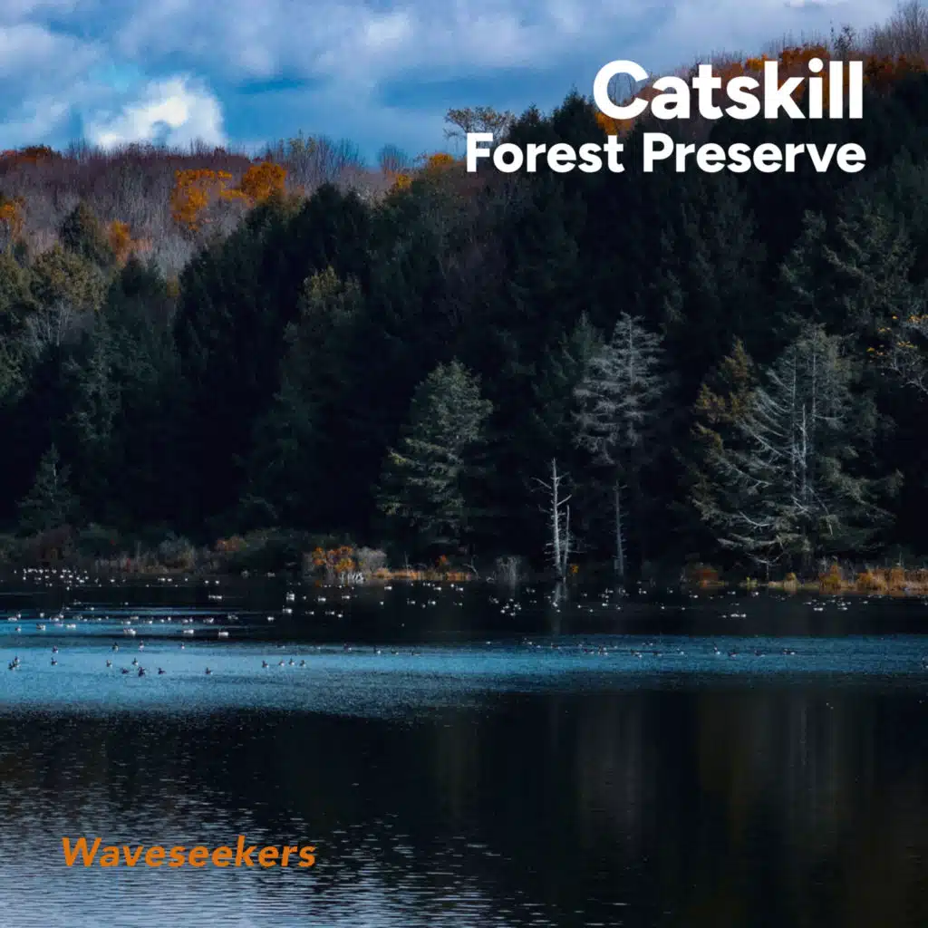 Catskill Forest Preserve