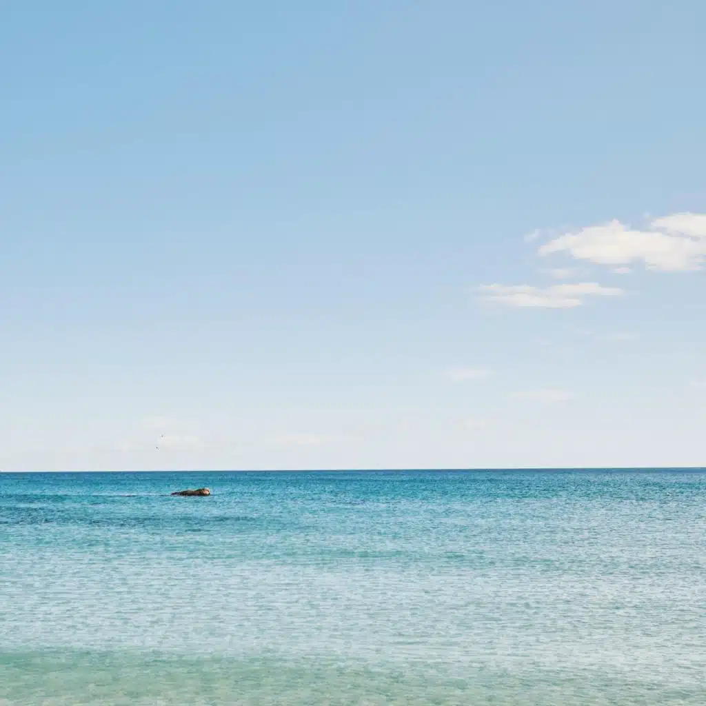 McLellan Family Reunion 2025 (Live)