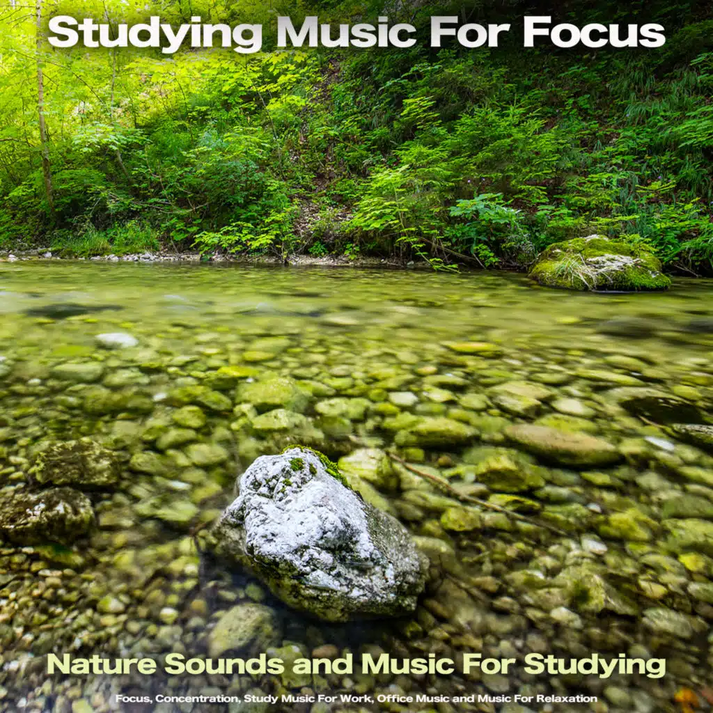 Studying Music For Focus: Nature Sounds and Music For Studying, Focus, Concentration, Study Music For Work, Office Music and Music For Relaxation
