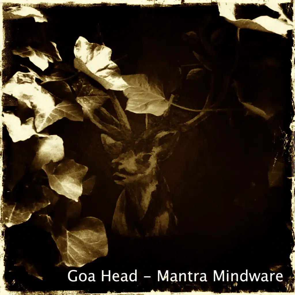 Goa Head