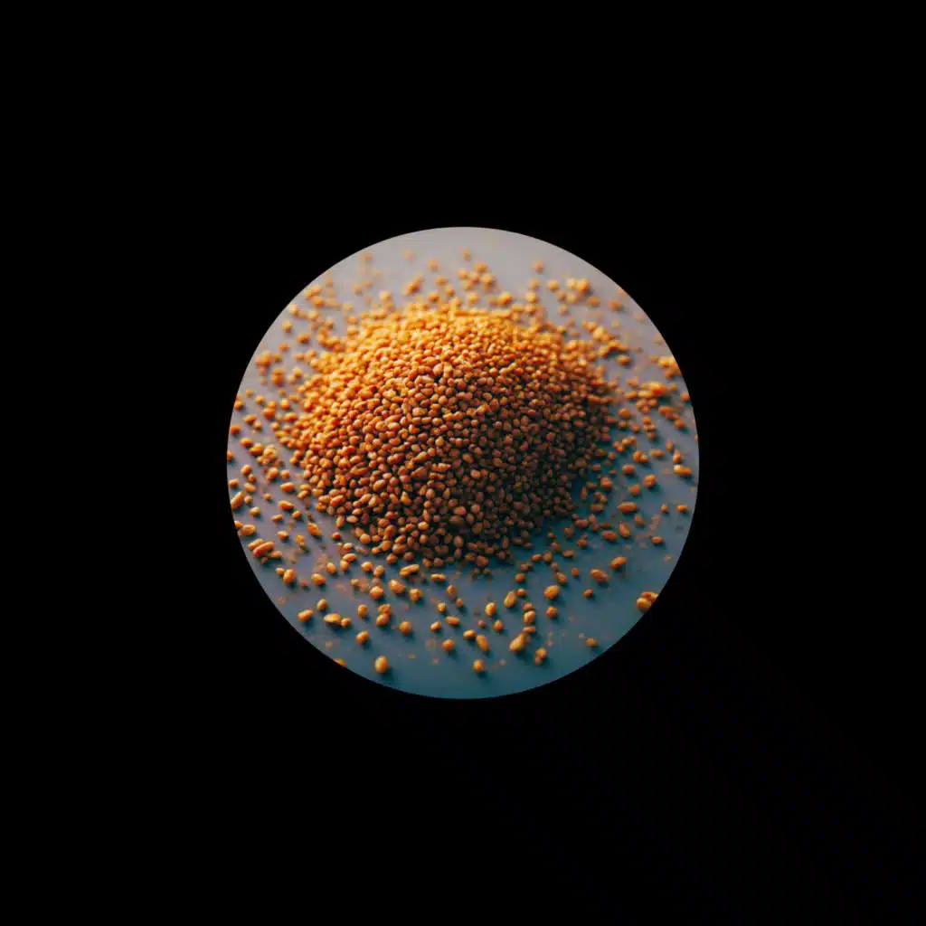 Something About A Mustard Seed