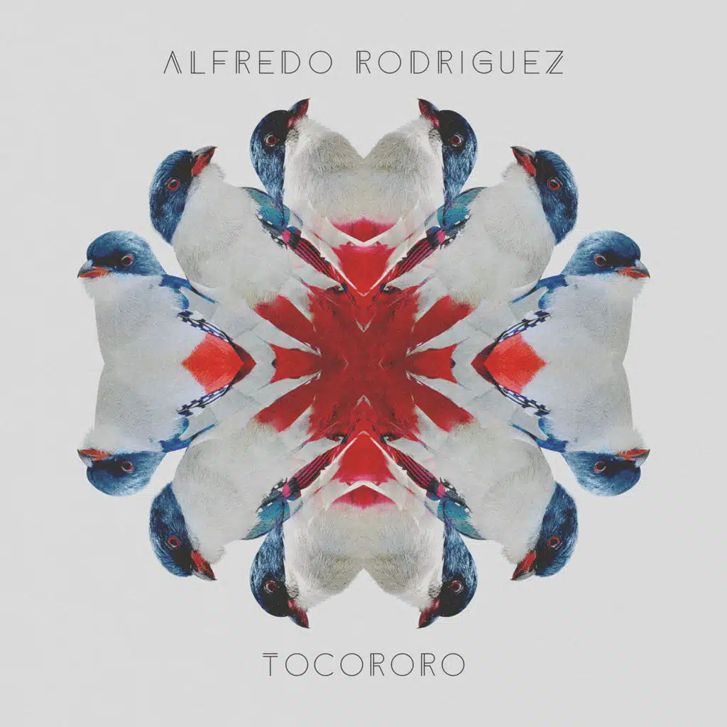 Raices (Roots) [feat. Richard Bona]