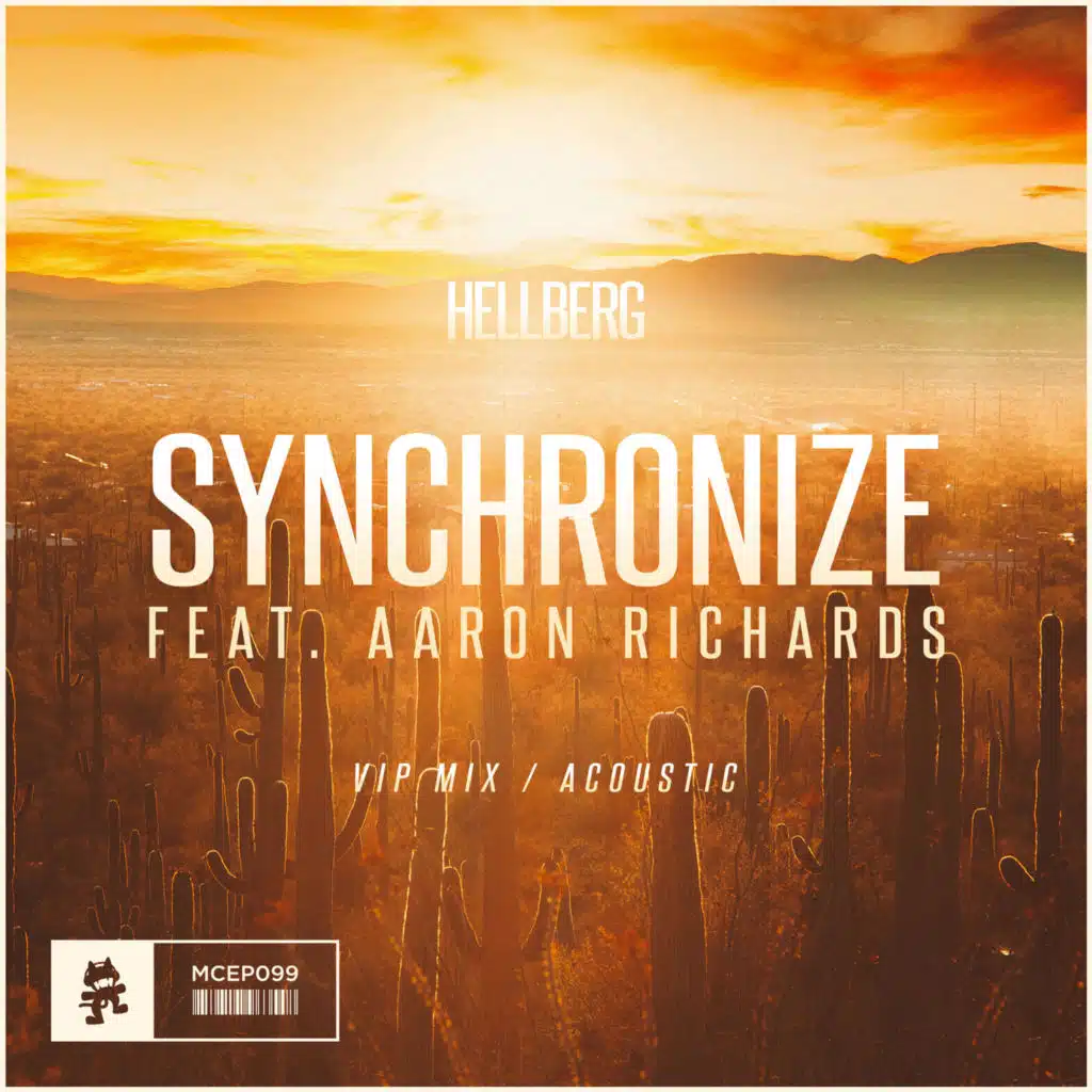 Synchronize (VIP Mix / Acoustic)