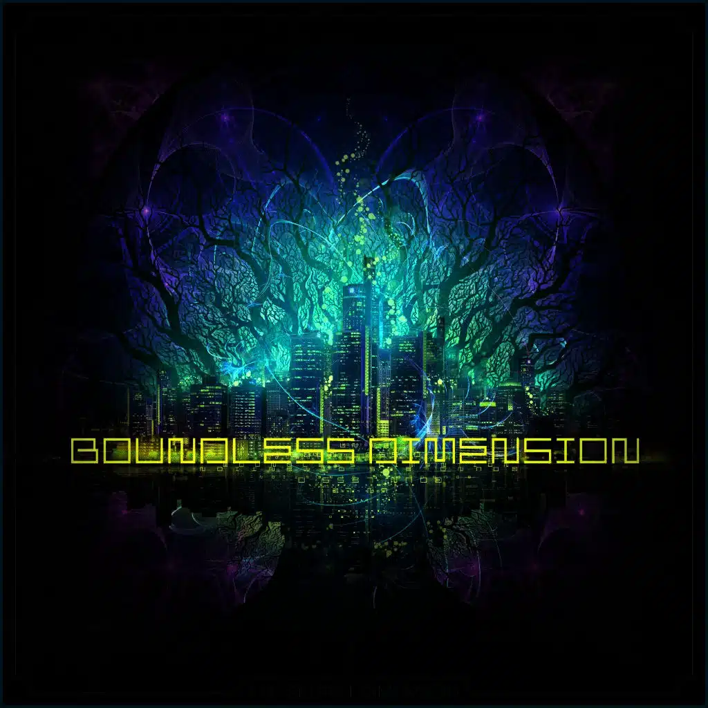 The Secret Dimension