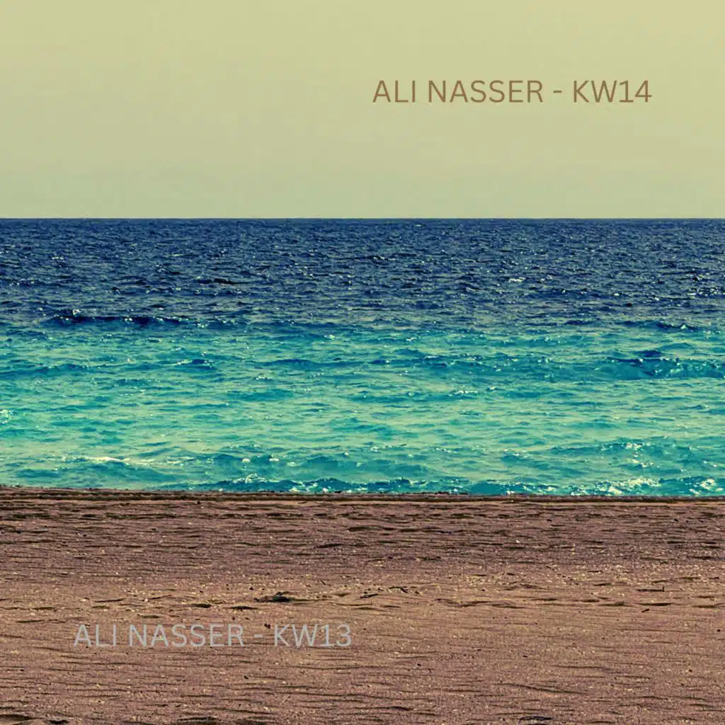Ali Nasser