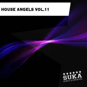 House Angels, Vol. 11