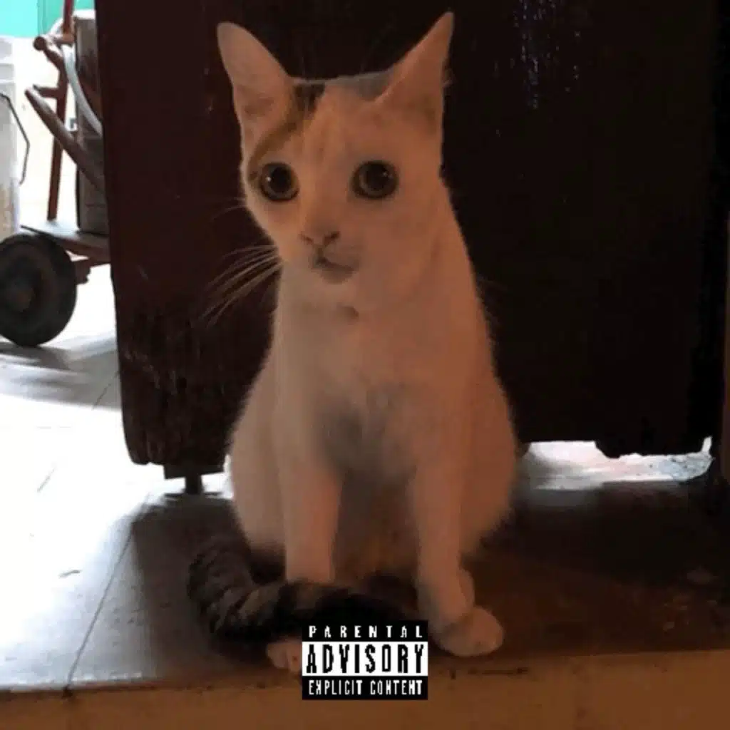 I JUST WANT THE MEOW! (FNM Big L)