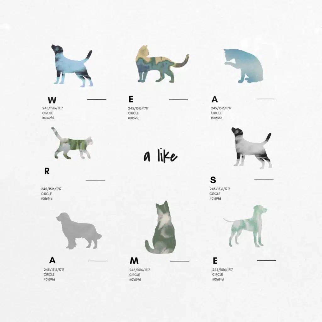 A like