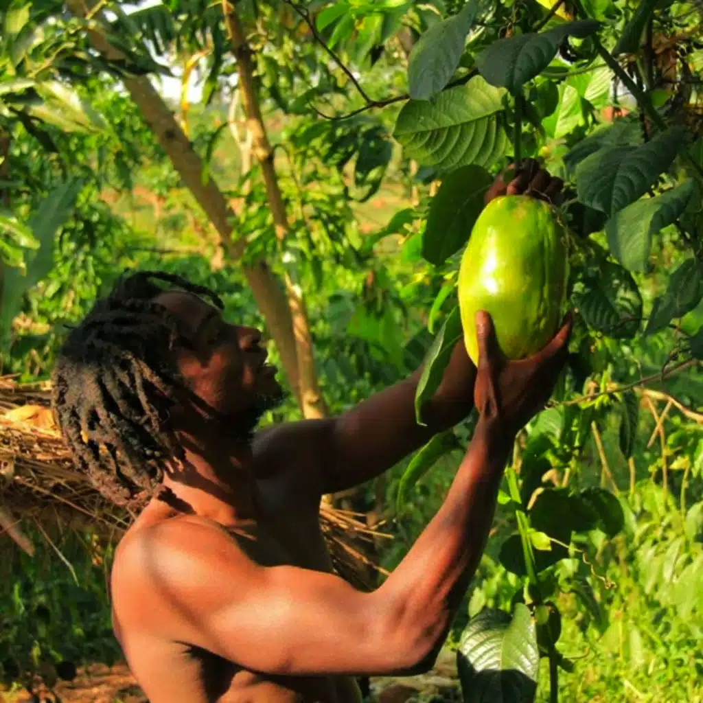 SK Simeon & King Toppa