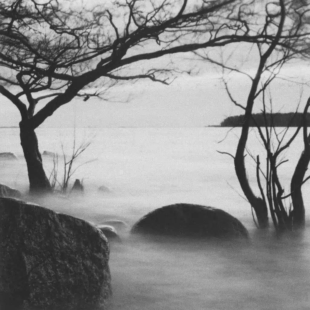 Miekka ja kirsikankukka