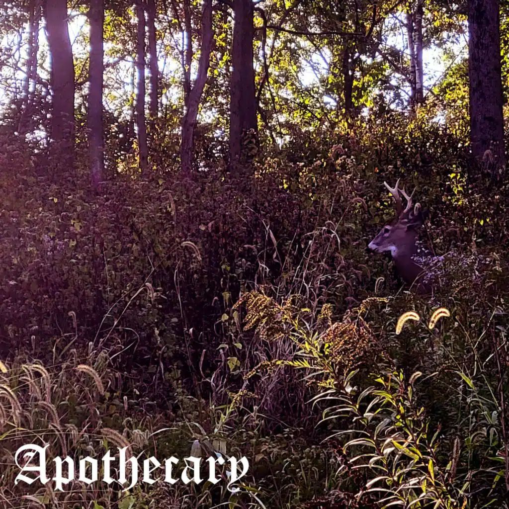 Apothecary