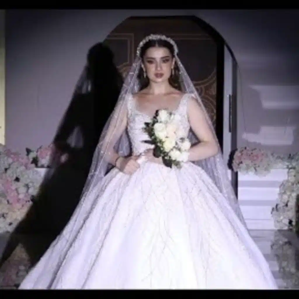 اقوى مكس دخلة عروسه للقاعه انت عمرى وماكد الكدوانى والدحيح ورحلة حب والف الصلاة وزفو العروس