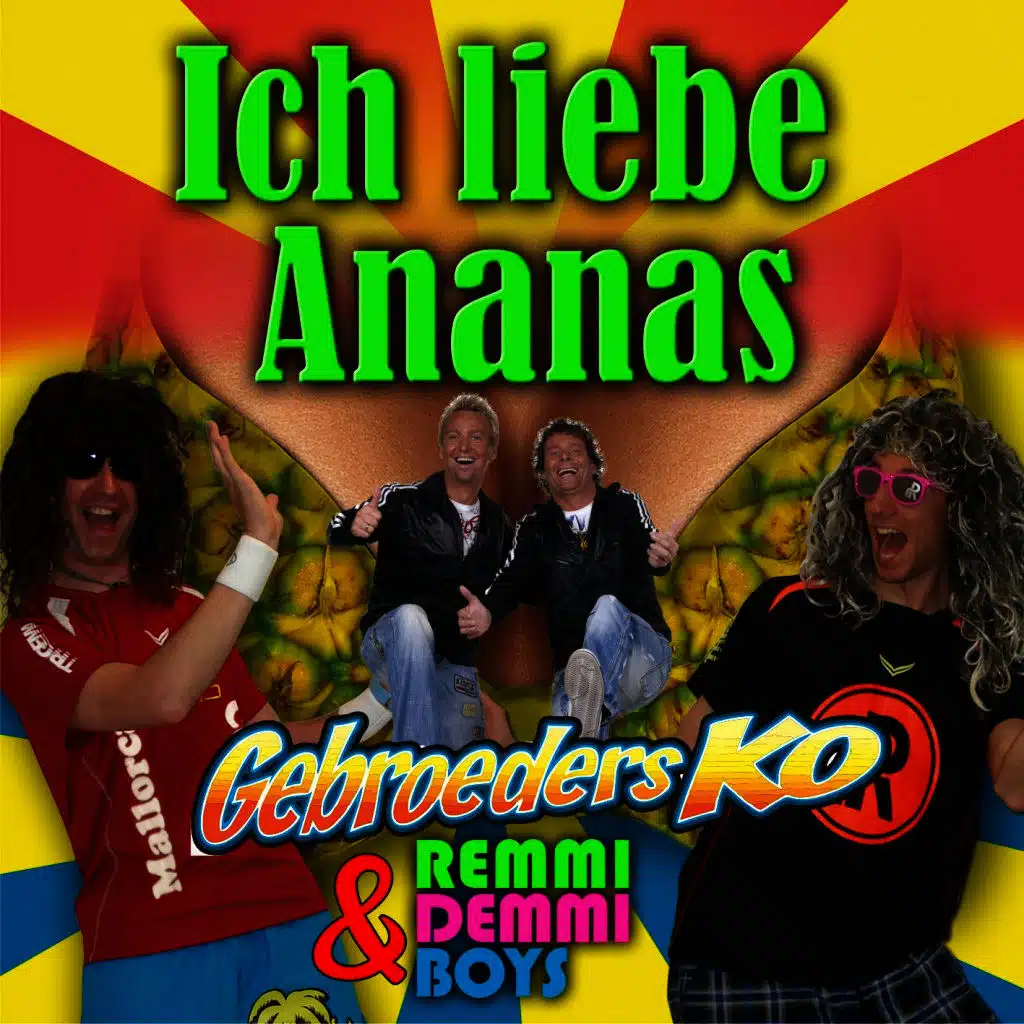 Gebroeders Ko & Remmi Demmi Boys