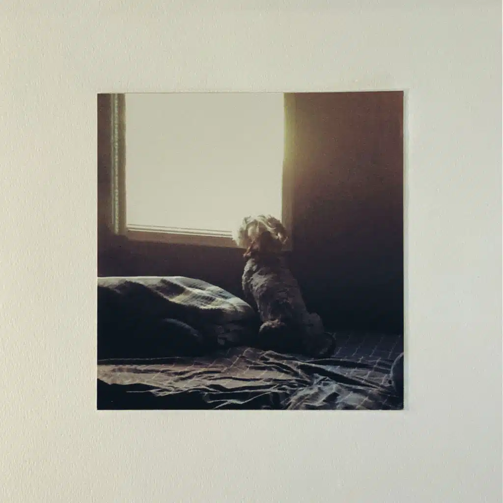 I Only See You When I Sleep