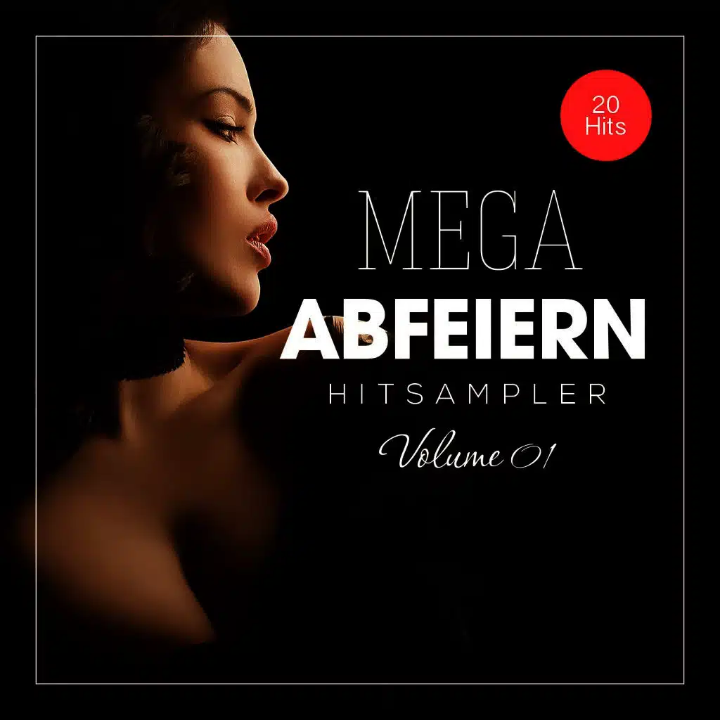 Mega Abfeiern, Vol. 1