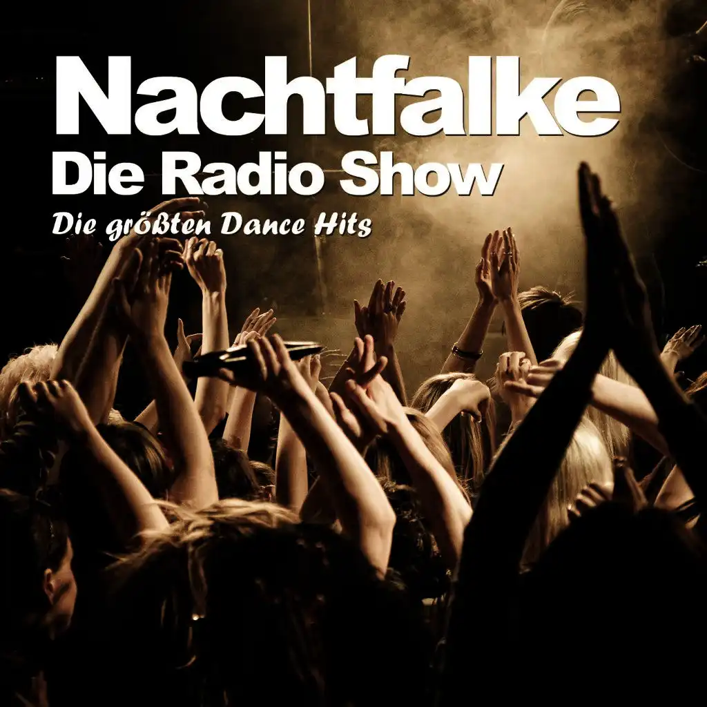 Nachtfalke