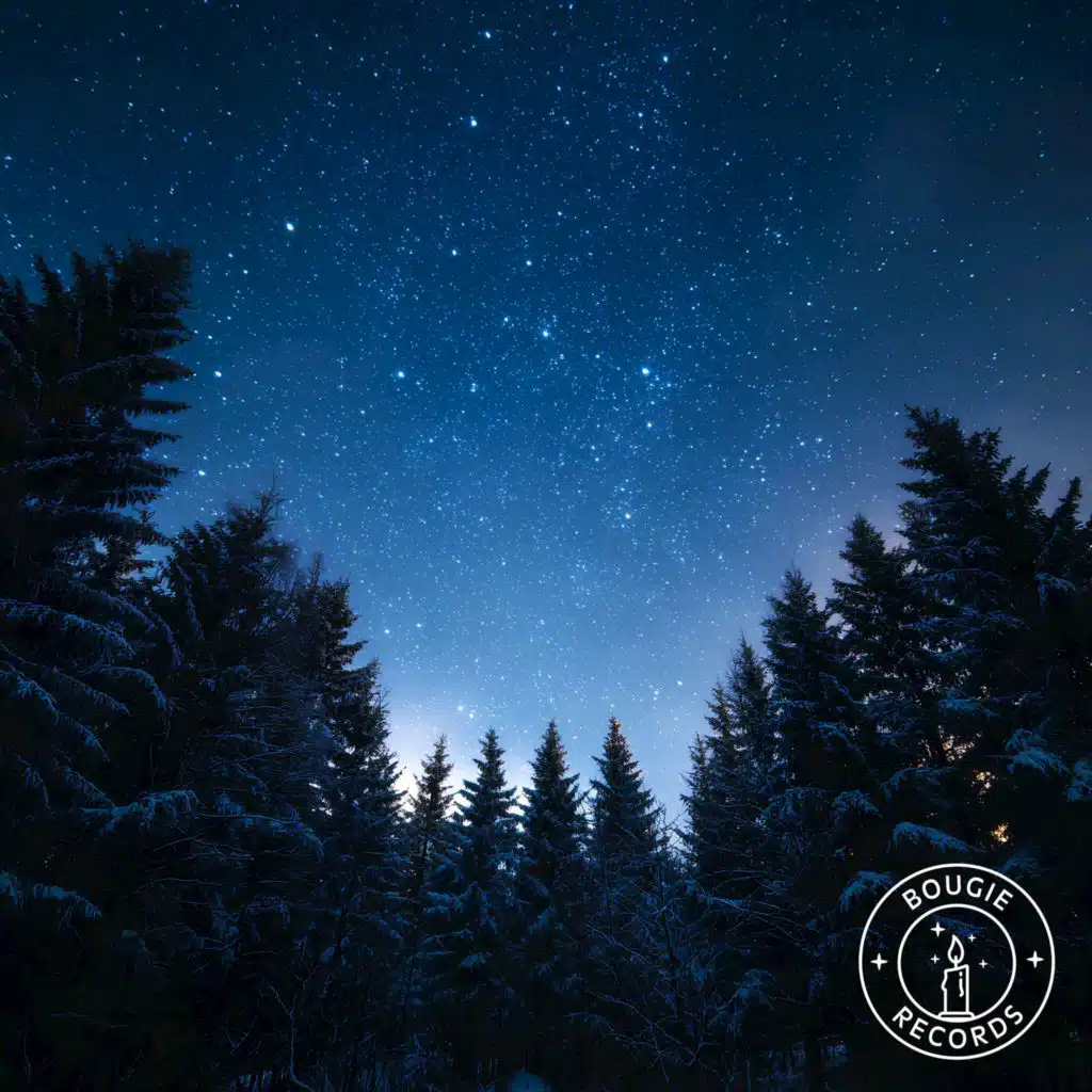 MyceliumBug & Jason Masoud