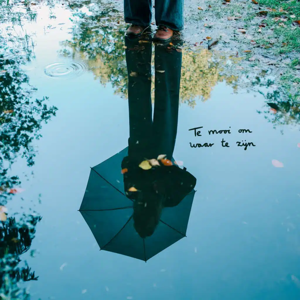 Te mooi om waar te zijn