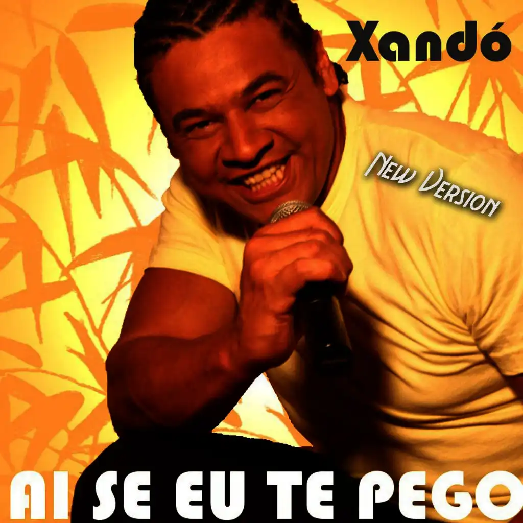 Ai Se Eu Te Pego (Karaoke Version)