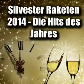 Silvester Raketen 2014 - Die Hits des Jahres