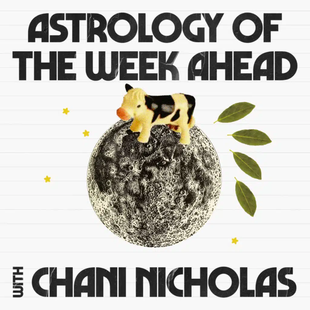 The Week of November 3rd, 2025: Big changes with a Full Moon in Taurus 