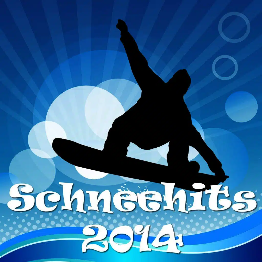 Schneehits 2014