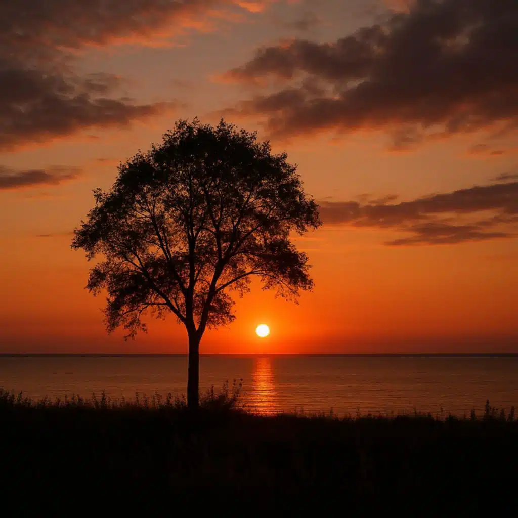 What's next (Lord tell me what to do)