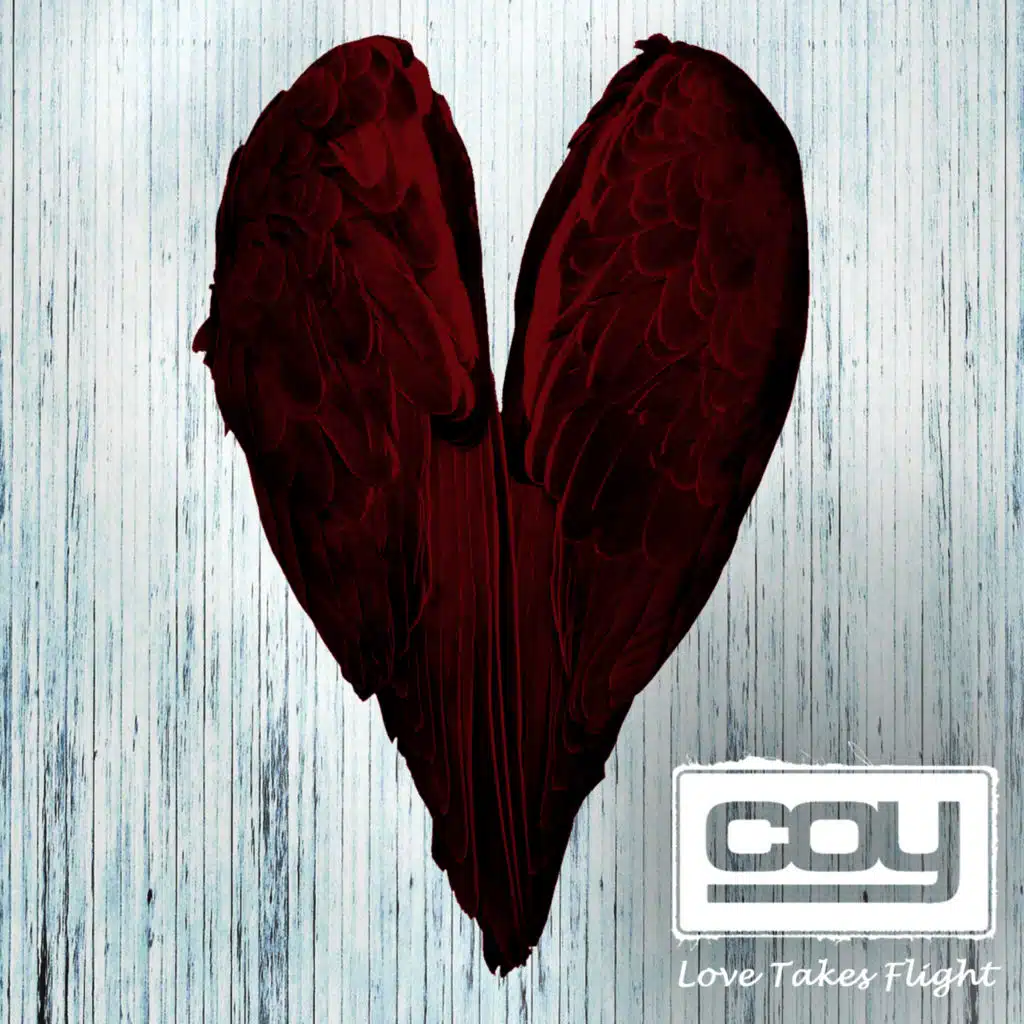 Love Takes Flight