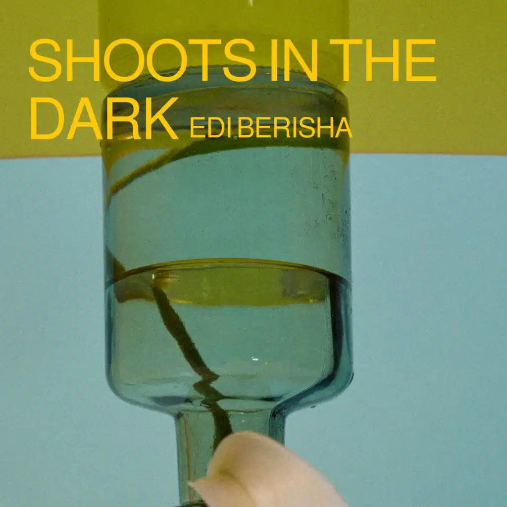 Shoots in the dark