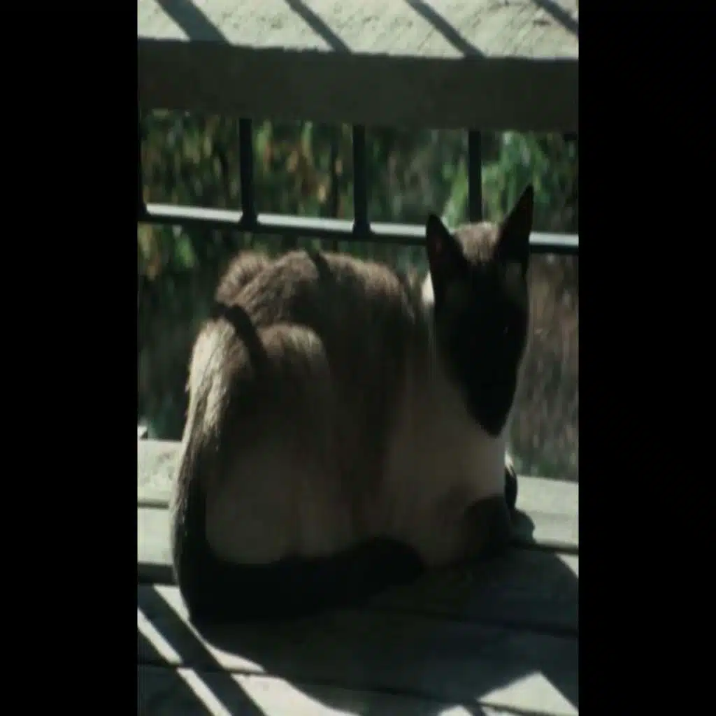 canción del jardinero