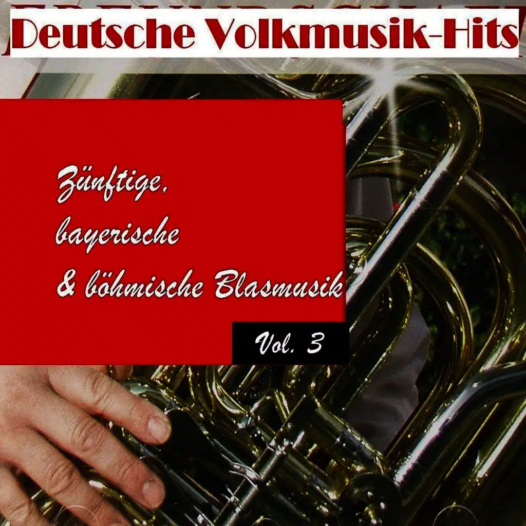 Deutsche Volksmusik Hits - Zünftige, bayerische & böhmische Blasmusik, Vol. 3