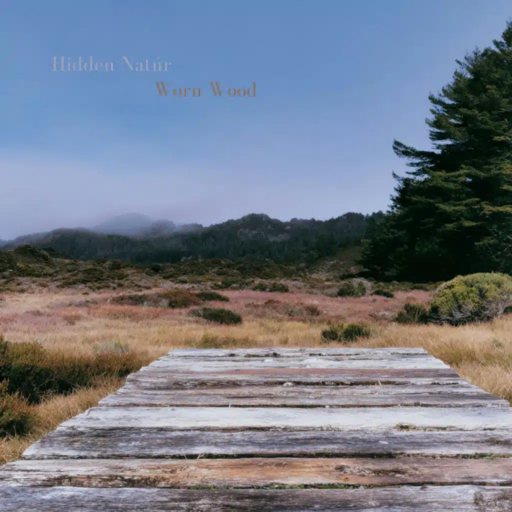 Hidden Natúr