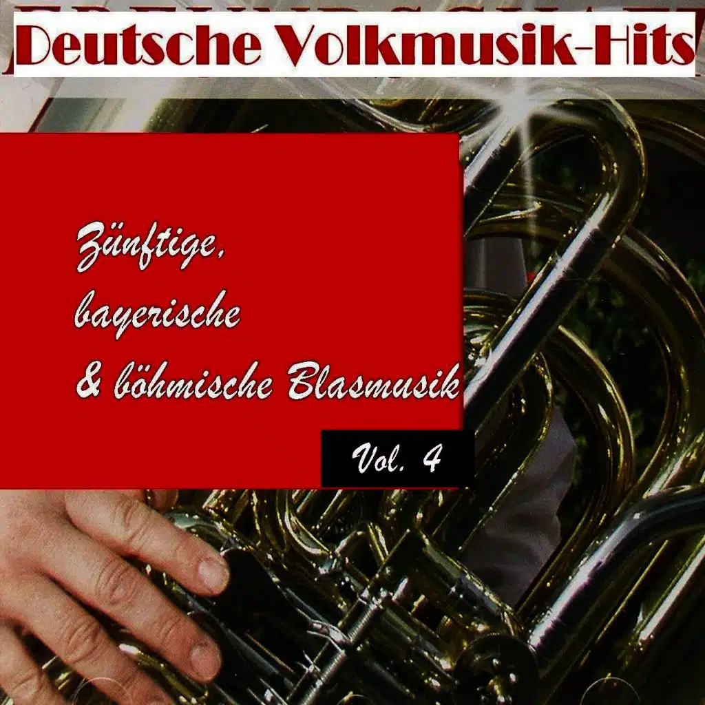 Deutsche Volksmusik Hits - Zünftige, bayerische & böhmische Blasmusik, Vol. 4