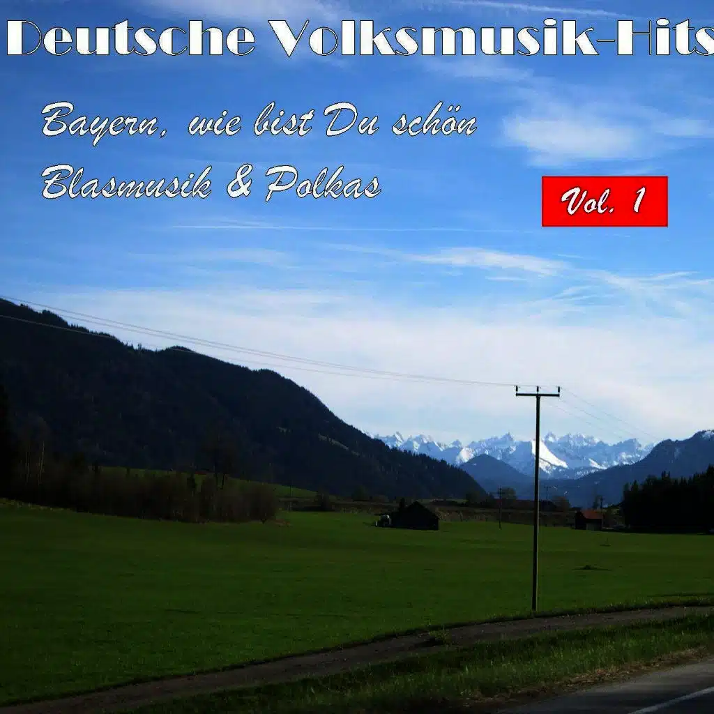 Deutsche Volksmusik Hits - Bayern, wie bist du schön: Blasmusik & Polkas, Vol. 1