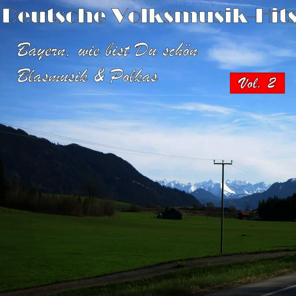 Deutsche Volksmusik Hits - Bayern, wie bist du schön: Blasmusik & Polkas, Vol. 2