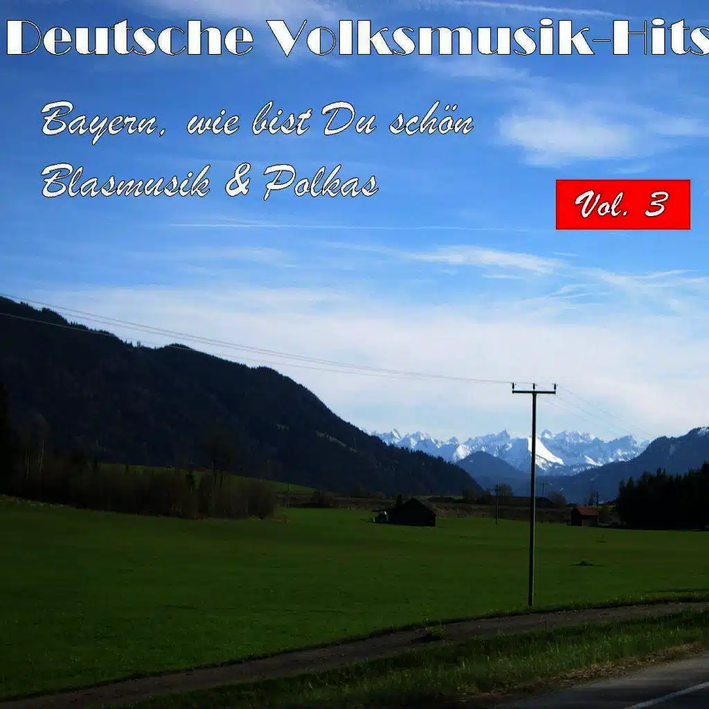 Deutsche Volksmusik Hits - Bayern, wie bist du schön: Blasmusik & Polkas, Vol. 3