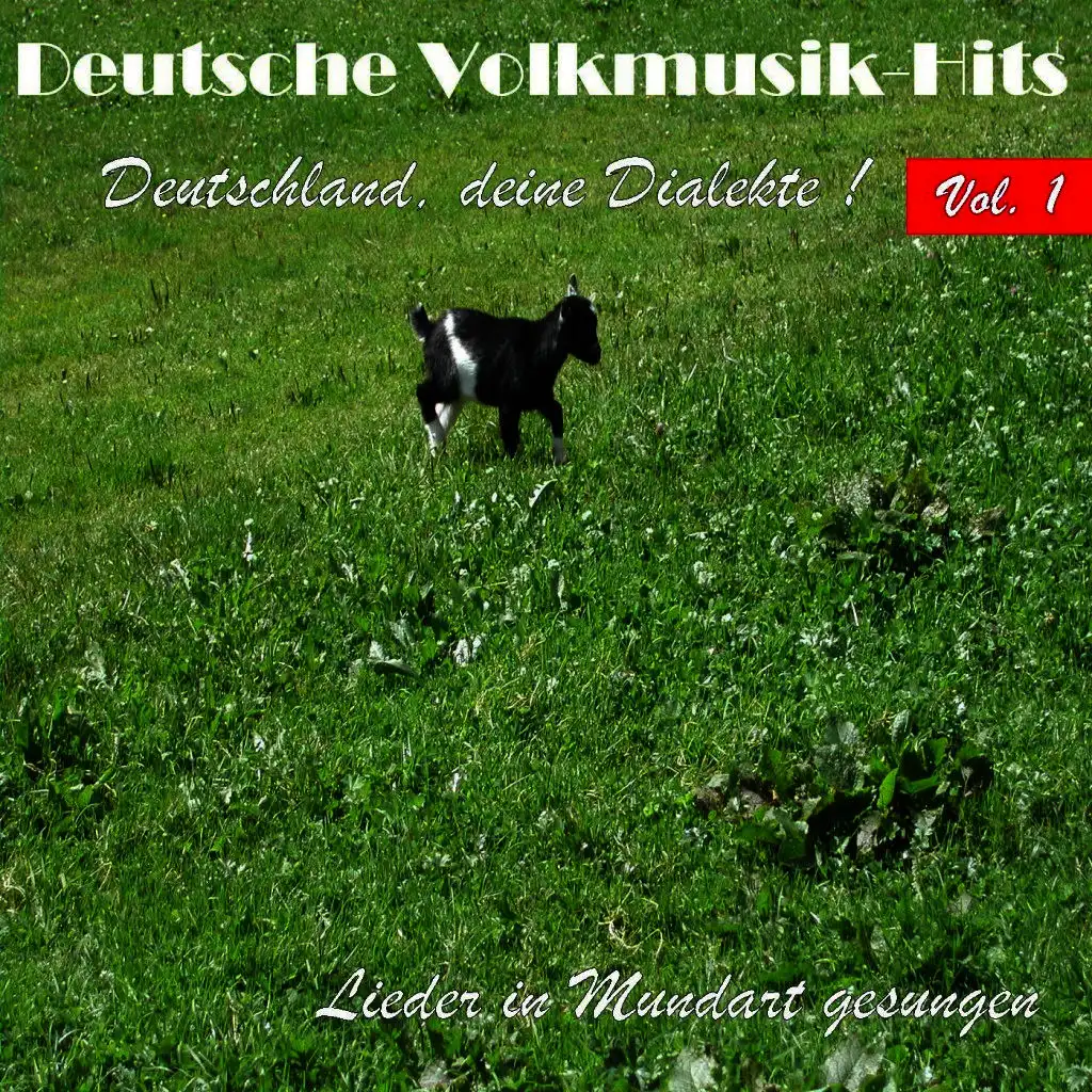 Deutsche Volksmusik Hits - Deutschland, deine Dialekte! Lieder in Mundart gesungen, Vol. 1