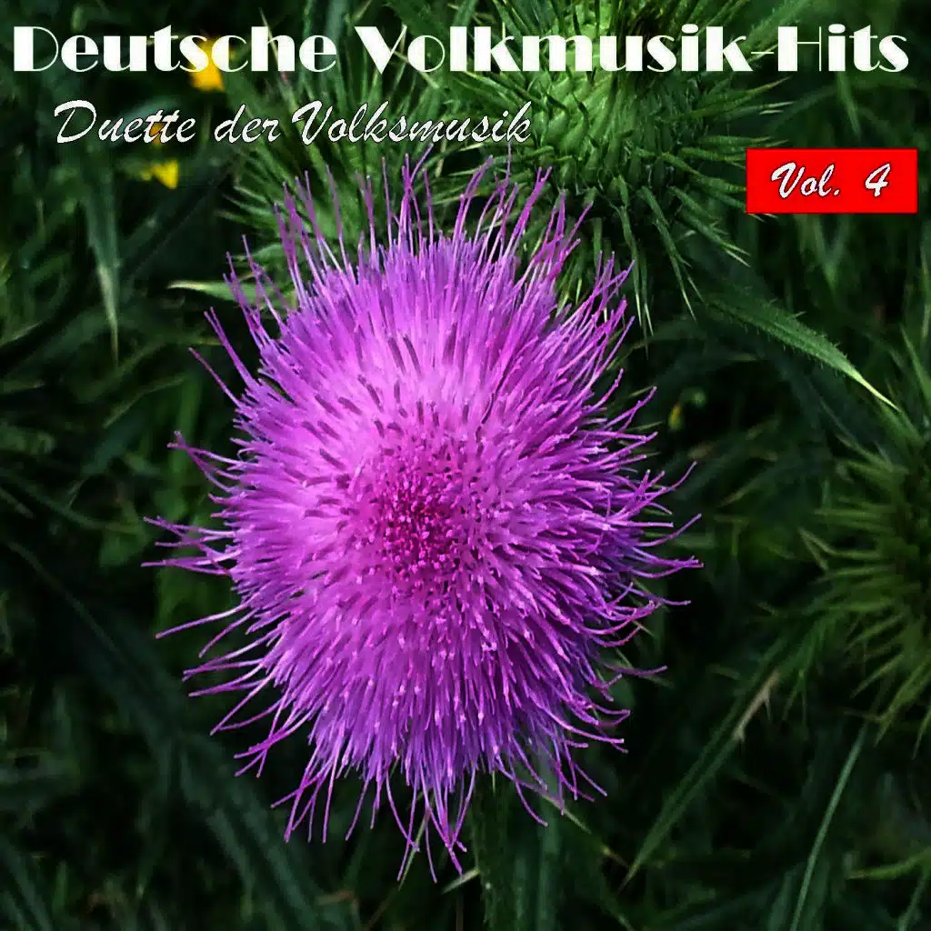 Deutsche Volksmusik Hits - Duette der Volksmusik, Vol. 4