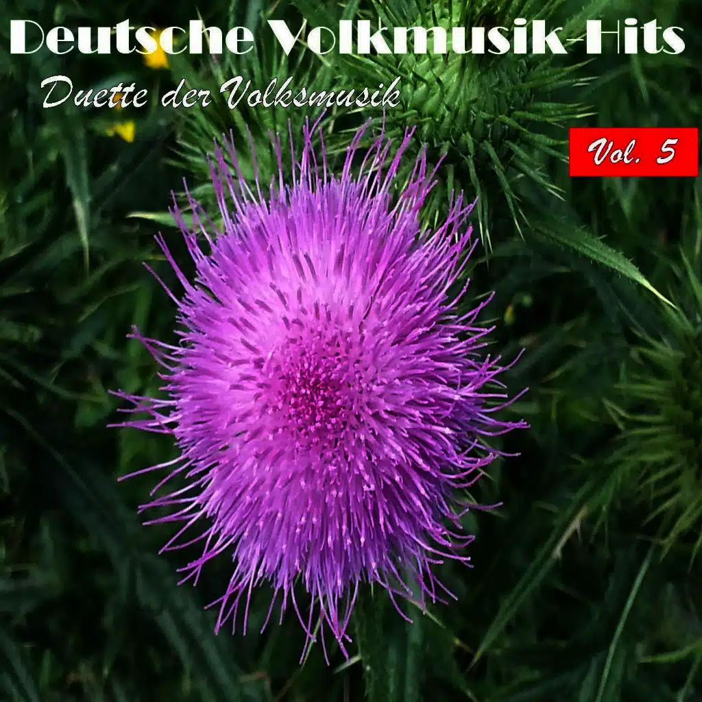 Deutsche Volksmusik Hits - Duette der Volksmusik, Vol. 5