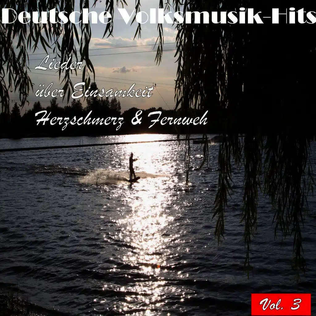 Deutsche Volksmusik Hits - Lieder über Einsamkeit, Herzschmerz & Fernweh, Vol. 3