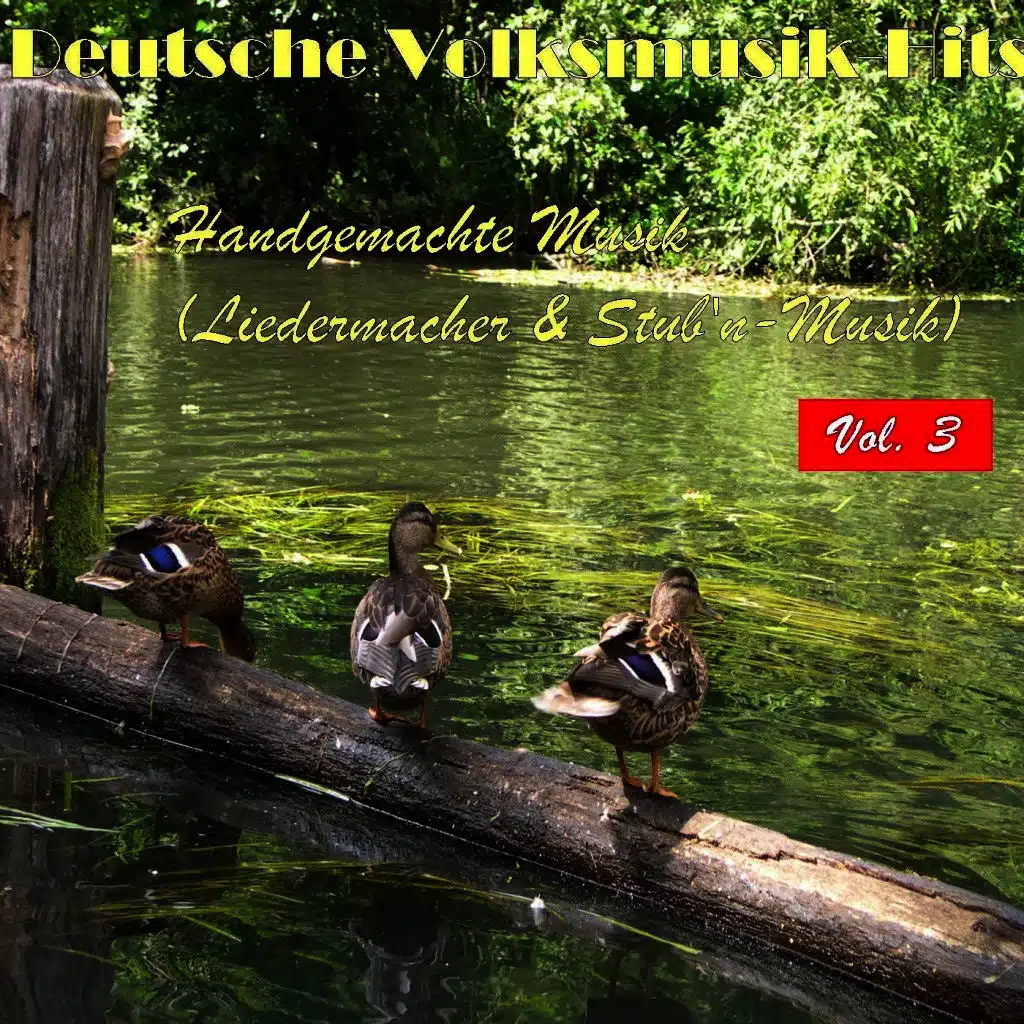 Deutsche Volksmusik Hits - Handgemachte Musik (Liedermacher & Stub'n-Musik), Vol. 3