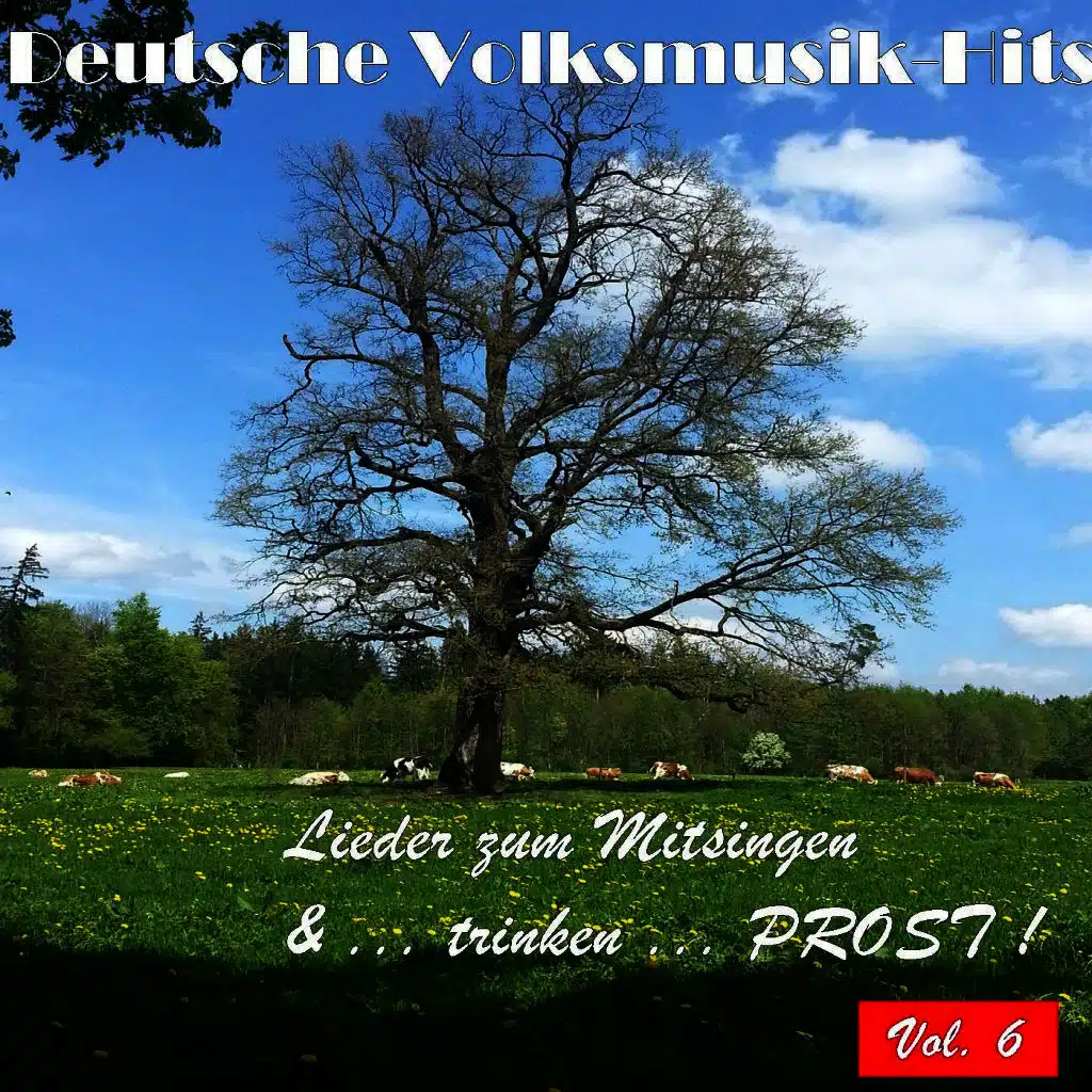 Deutsche Volksmusik Hits - Lieder zum Mitsingen & ...trinken...Prost! Vol. 6
