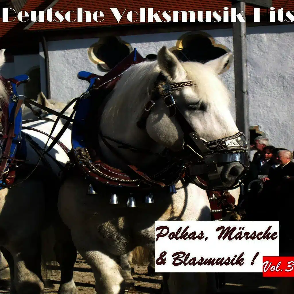 Deutsche Volksmusik Hits - Polkas, Märsche & Blasmusik, Vol. 3
