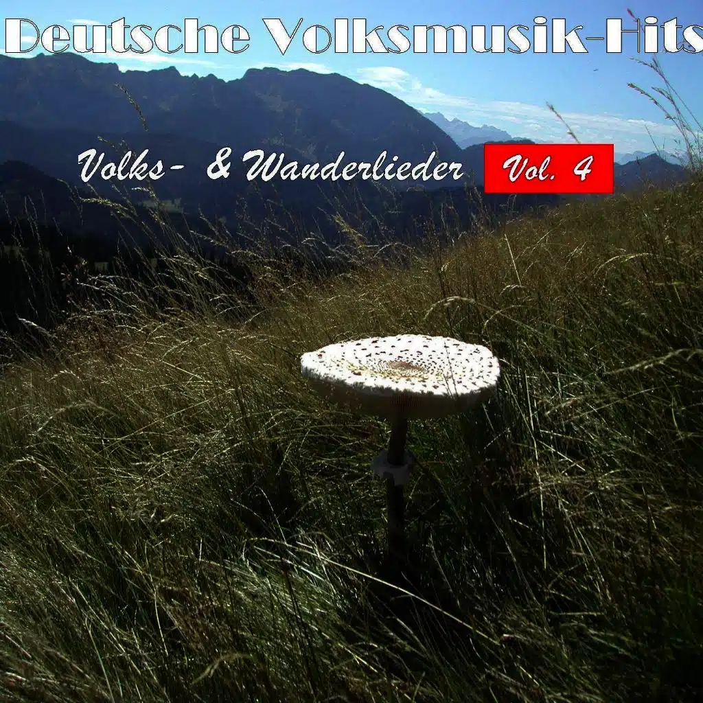 Deutsche Volksmusik Hits - Volks- & Wanderlieder, Vol. 4