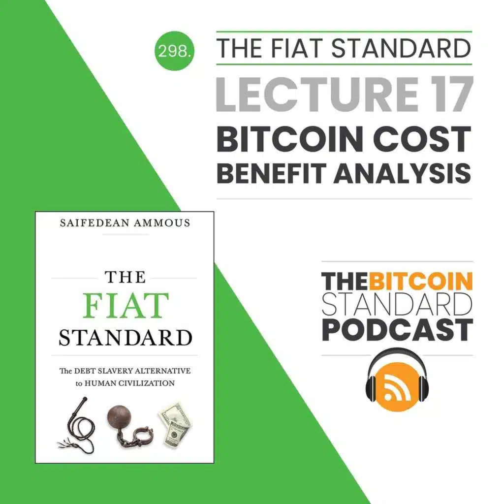 298. The Fiat Standard Lecture 17: Bitcoin Cost-Benefit Analysis