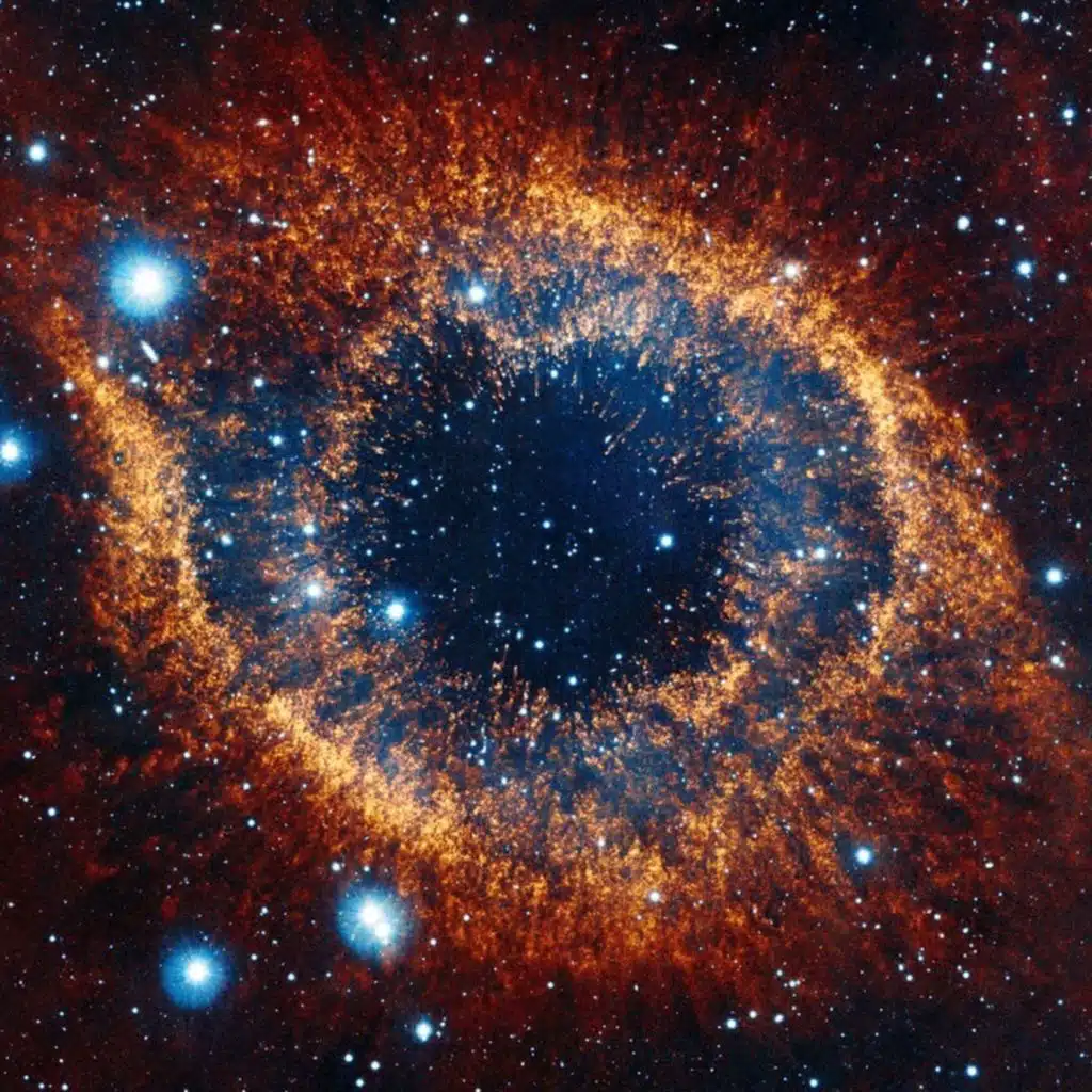 Wretched Education (Deluxe)