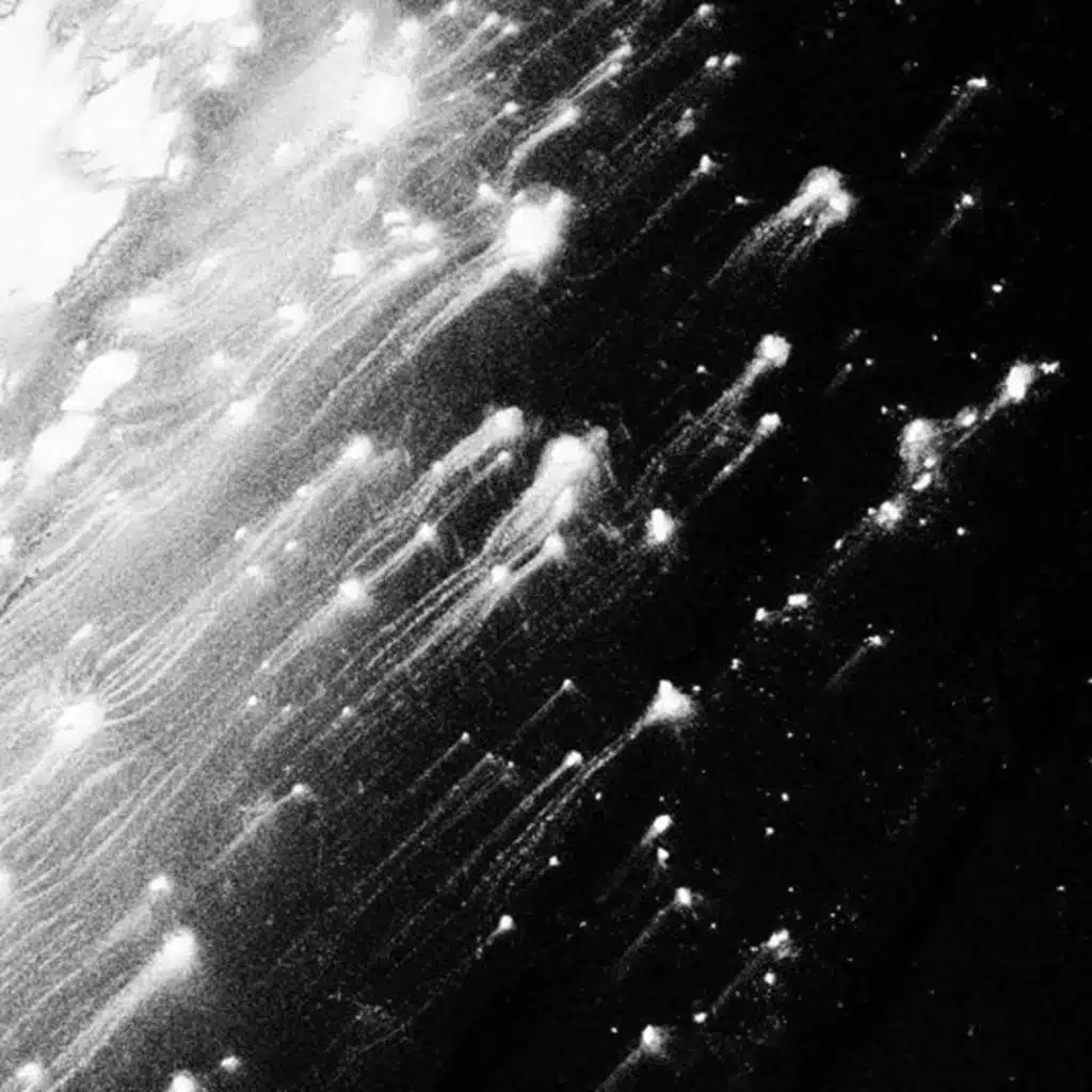 No Te Vayas (feat. MOONY)